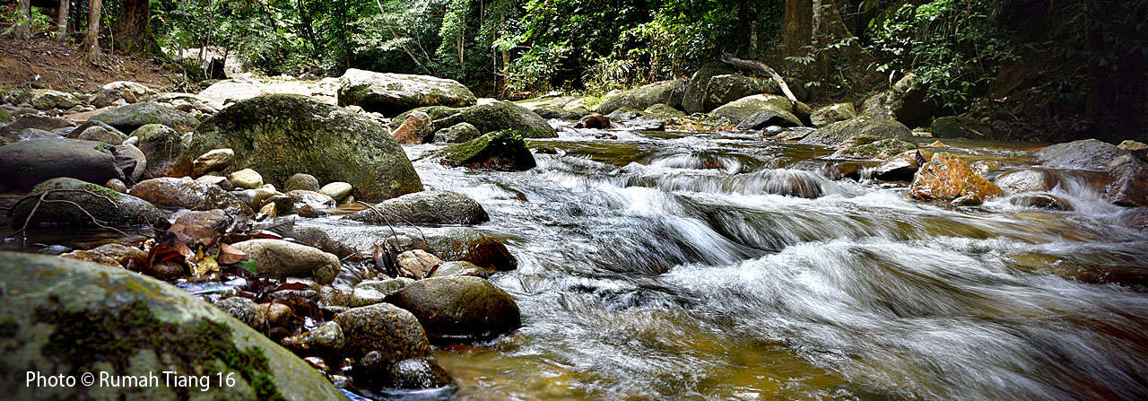 Ecosystem Tourism at Lenggong Valley