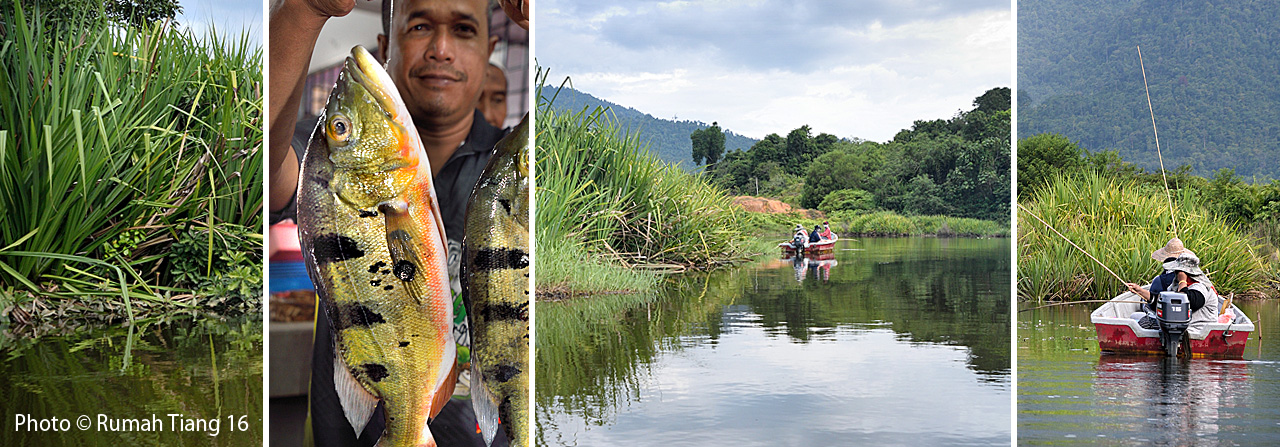 Fishing expeditions in Lenggong