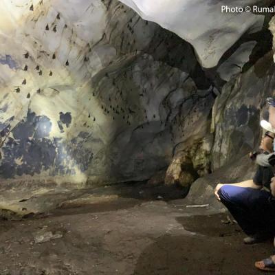 Yet another cave exploration, this time revealing the presents of bats.