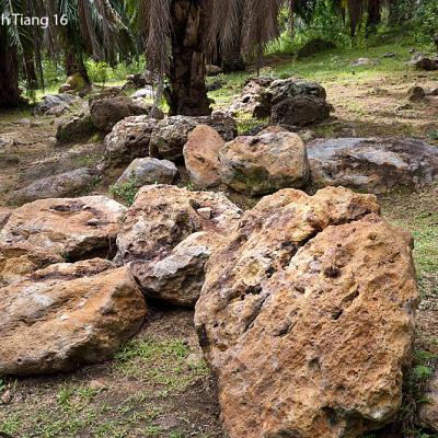 Suevite boulders at Bukit Bunuh.